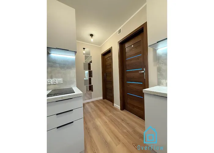 Pink Panther 10 Min To Old Town Gdansk,pkp & Shopping Mall * 格但斯克